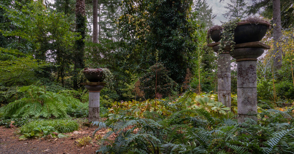 Heronswood Garden, United States